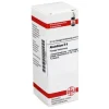 DHU Absinthium D 6 Dilution, 20 ml- A