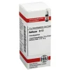 A-DHU Aethusa D 12 Globuli, 10 g