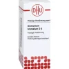 Ammonium bromatum D 6 Dilution, 20 ml^DHU Sale