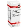 DHU Ammonium carbonicum C 200 Gl, 10 g^ Outlet