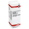 DHU Ammonium carbonicum D 6 Dilution, 20 ml- A