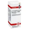 DHU Anacardium D 200 Globuli, 10 g^ Clearance