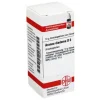 DHU Aranea diadema D 6 Globuli, 10 g- A