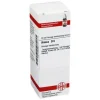 Arnica D 6 Dilution, 20 ml^DHU Outlet
