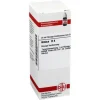 Arnica D 4 Dilution, 20 ml^DHU New