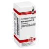 DHU Bellis perennis C 12 Globuli, 10 g^ Hot