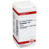 Bryophyllum D 6 Tabletten, 80 St^DHU Clearance