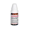DHU Calcium carbonicum D 60 Globuli, 10 g- C|C