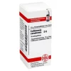 DHU Collinsonia canadensis D 6 G, 10 g- C