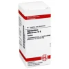 DHU Cypripedium pubescens D 6 Tabletten, 80 St^ Hot