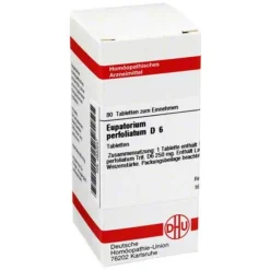 DHU Eupatorium perfoliatum D 6 Tabletten, 80 St- E