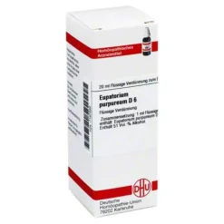 DHU Eupatorium purpureum D 6 Dilution, 20 ml- E