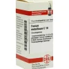 F-DHU Ferrum metallicum C 10 Globuli, 10 g
