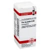 DHU Flor de Piedra D 30 Globuli, 10 g- F