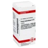 F-DHU Fucus vesiculosus D 12 Tabletten, 80 St
