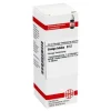 G-DHU Ginkgo biloba D 12 Dilution, 20 ml