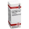 DHU Ginkgo biloba D 12 Globuli, 10 g- G|G