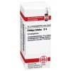 DHU Ginkgo biloba D 4 Globuli, 10 g^ Sale