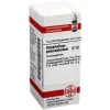 DHU Gnaphalium polycephalum D 12 Gl, 10 g- G|G