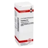 G-DHU Graphites D 6 Dilution, 20 ml