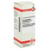 DHU Harpagophytum procumbens D 12 Dilution, 20 ml^ Clearance