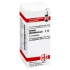 DHU Kalium phosphoricum C 12 Globuli, 10 g^