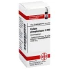 DHU Kalium phosphoricum C 200 Gl, 10 g- K|K