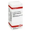 DHU Leonurus Cardiaca D 6 Tabletten, 80 St- L
