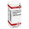 DHU Lycopus virg. D 6 Globuli, 10 g^ Discount