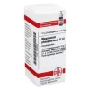DHU M-Magnesium phosphoricum D 12 Globuli, 10 g