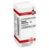 DHU Natrium sulfuricum C 6 Globuli, 10 g^ Online