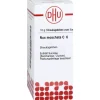 DHU Nux moschata C 6 Globuli, 10 g- N