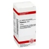 DHU P-Phytolacca D 1 Tabletten, 80 St