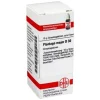 DHU Plantago Major D 30 Globuli, 10 g^ Online