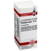 DHU Plantago Major D 12 Globuli, 10 g^ Clearance
