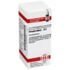 Strophanthus D 6 Globuli, 10 g^DHU Online