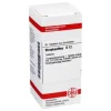 DHU Strophanthus D 12 Tabletten, 80 St^ Best