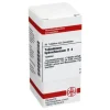 DHU Yohimbinum hydrochloricum D 4 Tabletten, 80 St- W-Z