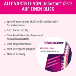 Doloctan Hirnleistung & Nerven-forte Kapseln, 40 St