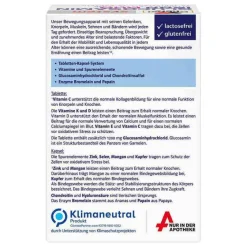 Doppelherz Glucosamin-Chondroitin-Glucosamin 1200 Duo system Kombipackung, 60 St