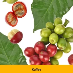 Dr. Loges Beruhigungsmittel-dystoLoges® Tabletten, 50 St