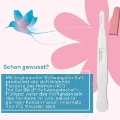 Ultrafrüh Schwangerschaftstest Urin, 1 St^EaRlibird Sale