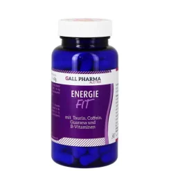 Hecht Pharma Energie Fit GPH Kapseln, 90 St- Hirnleistung & Nerven