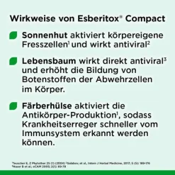 Esberitox Grippemittel|Abwehrsteigerung-® Compact Bei Erkältungskrankheiten, 40 St