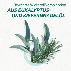 ® Inhalat, 20 ml^Eucabal Hot