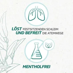 ® Inhalat, 20 ml^Eucabal Hot