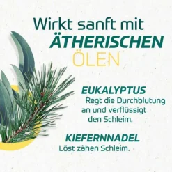 Eucabal Erkältungsbalsam Kinder|Erkältungsbalsam-®-Balsam S Creme, 50 ml