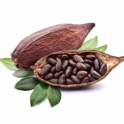 Fermentura Magnesium Tabletten, 60 St^Pharmatura Outlet