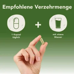 Pharmatura Fermentura Spermidin Kapseln, 30 St- Spermidin