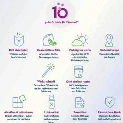 Fizamol 500 mg Brausetabletten, 20 St- Paracetamol